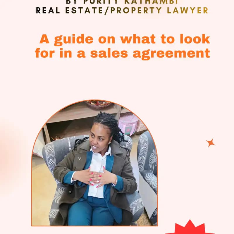 WHAT TO LOOK OUT FOR IN A SALES AGREEMENT- The Essential Guide for Diaspora Property Investors in Ke